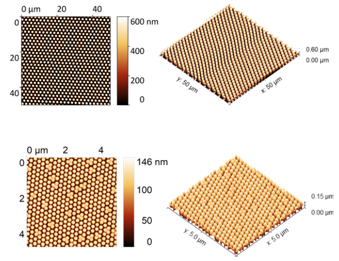 Additive and Lithographic Manufacturing of Biomedical Scaffold Structures Using a Versatile Thiol-Ene Photocurable Resin