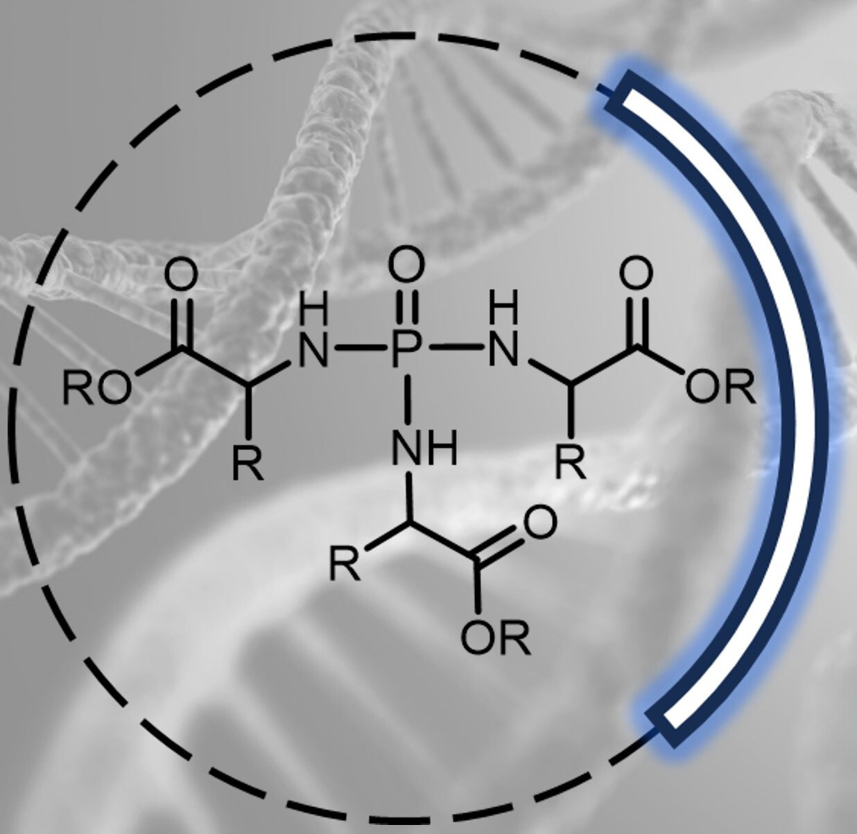 Biodegradable resins for photochemical 3D printing via vinyl ester and vinyl carbonate functionalized amino acid-phosphoramidates